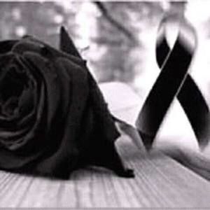 Meet your Posher, Liliana